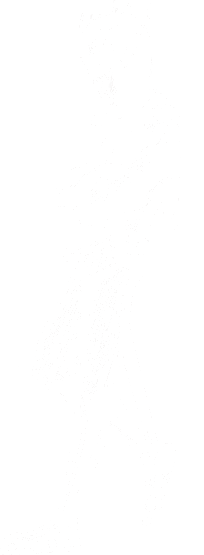 Deep Elf male concept art