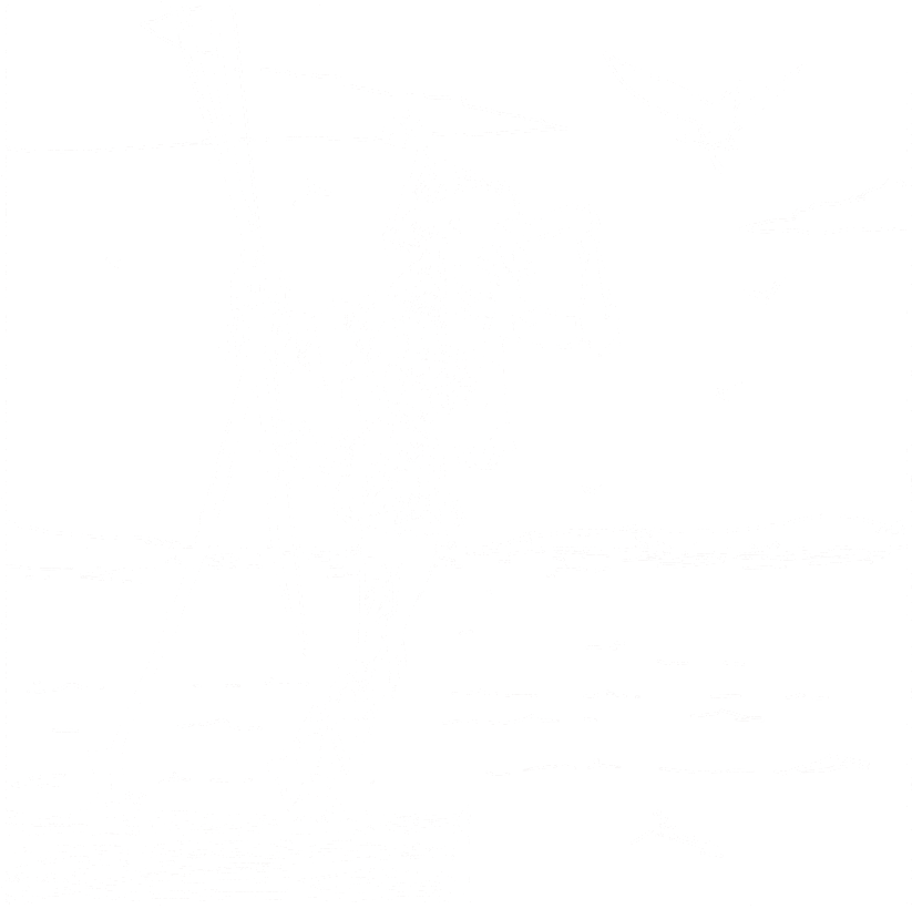 Archer
