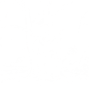Bard