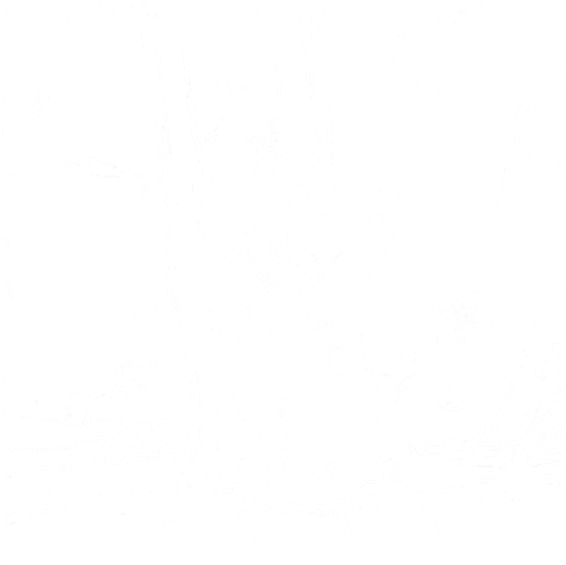 Bard