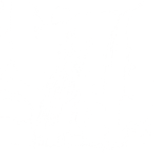 Druid