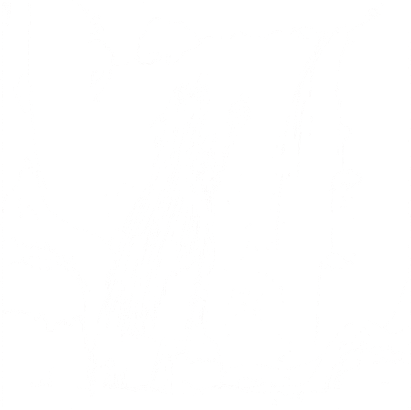 Druid