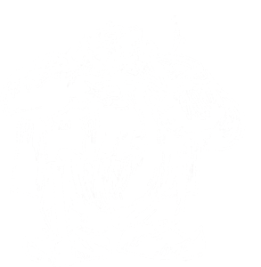 Dwarf