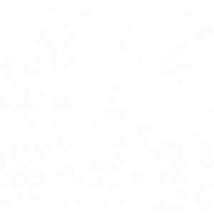 Fighter