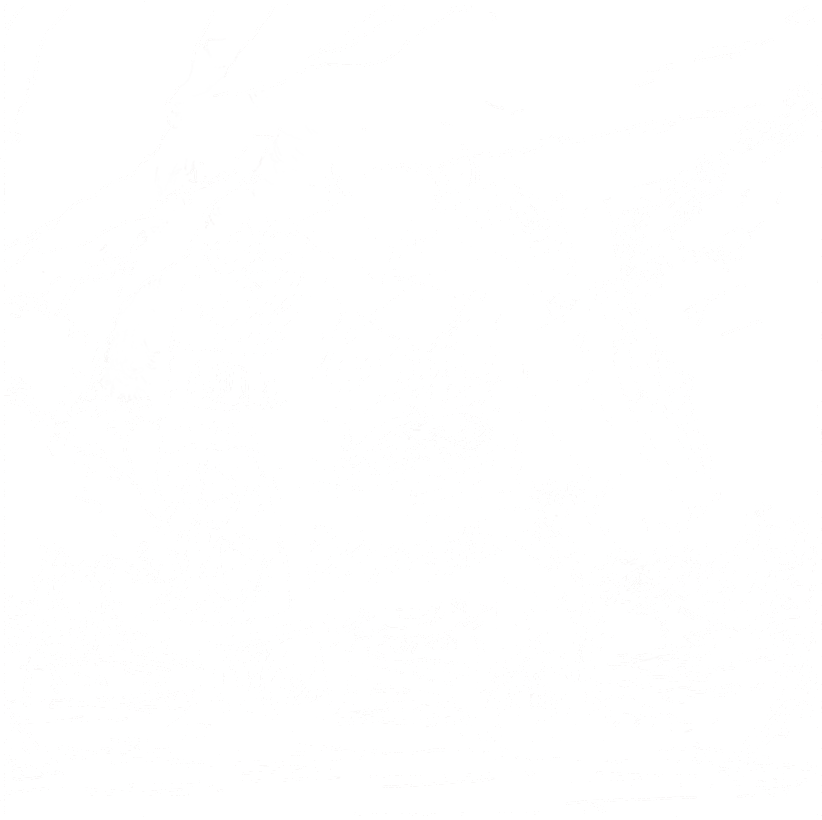 Fighter