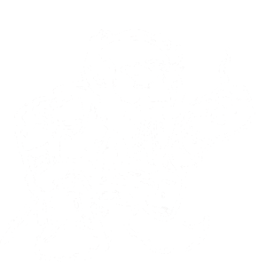 Gnome
