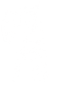 Goblin
