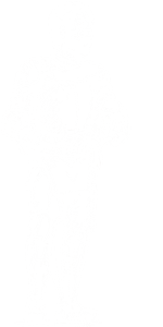 Human