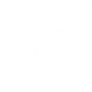 Inquisitor