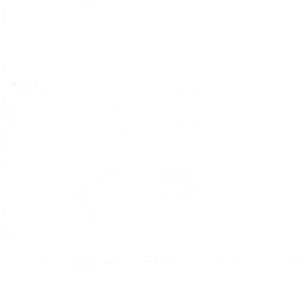 Monk