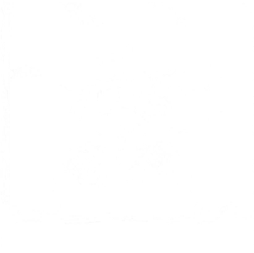 Monk