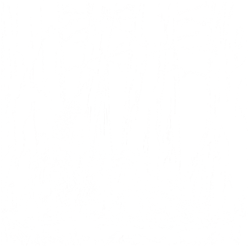 Necromancer
