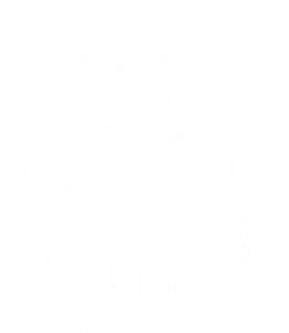Ogre