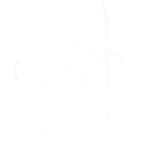 Paladin