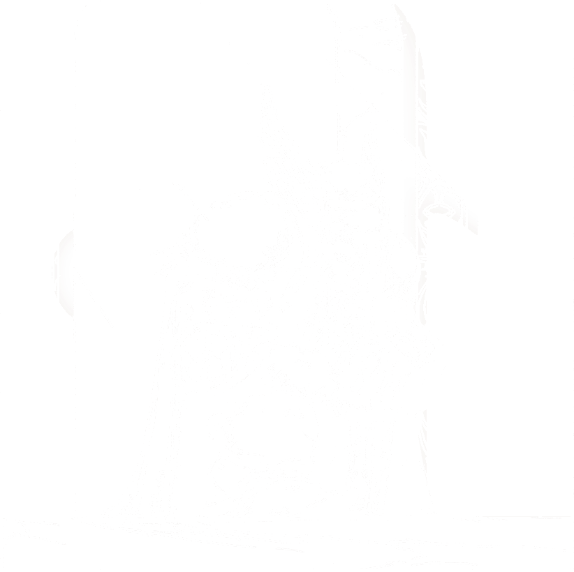 Paladin