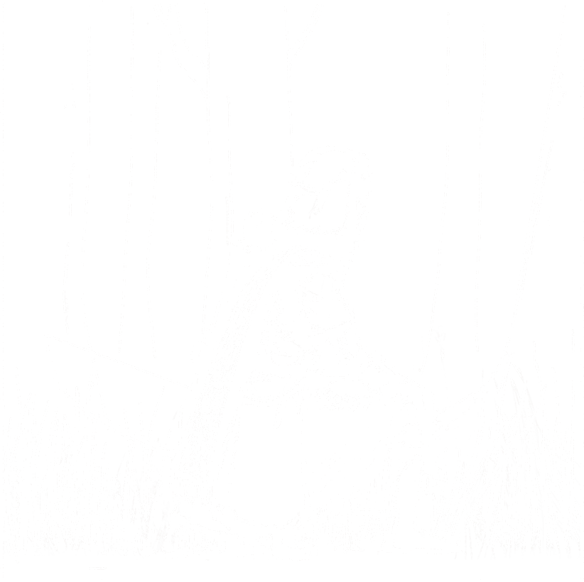 Ranger
