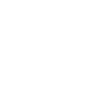 Shadow Knight