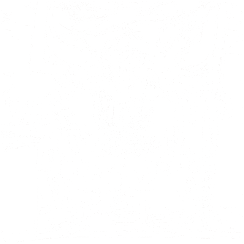 Shadow Knight