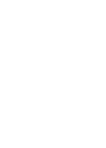 Troll