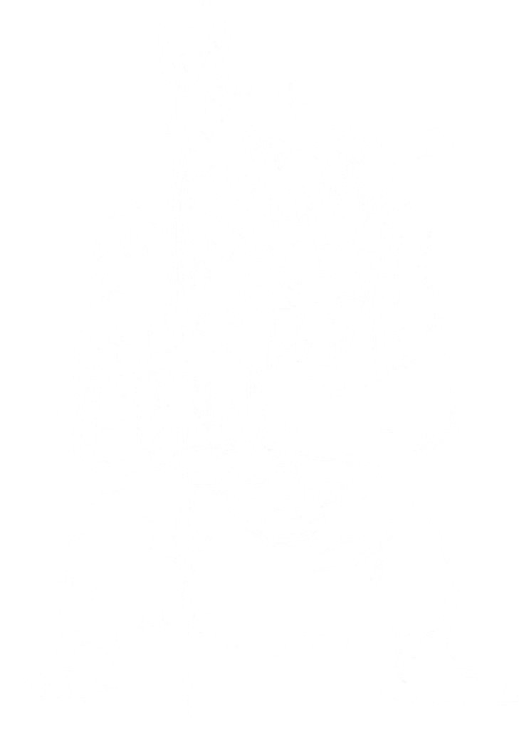 Troll