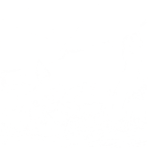 Wizard