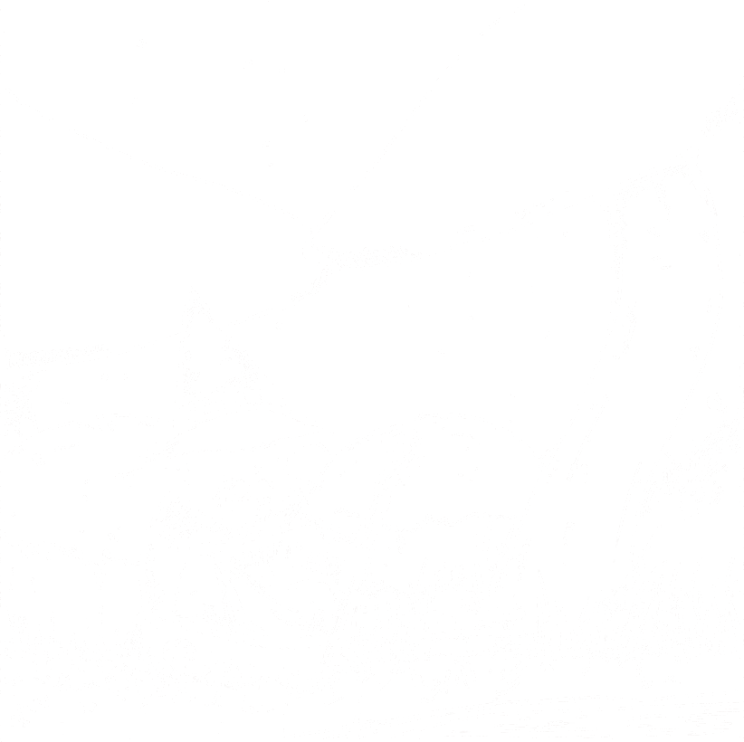 Wizard