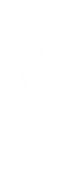 Wood Elf