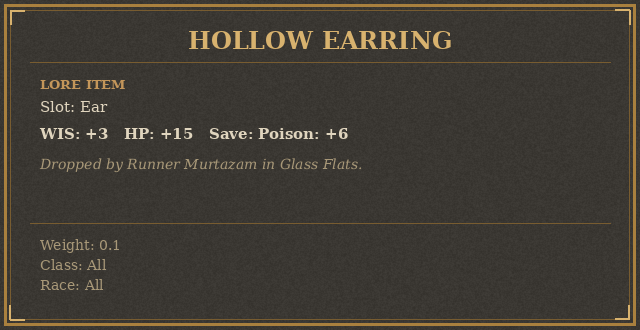 Hollow Earring