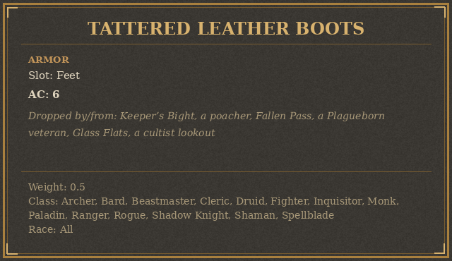 Tattered Leather Boots